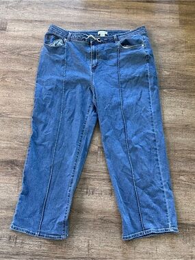 Rachel Zoe Wide Leg Front Seam Jeans with Silver Clasp Hardware Med Wash 18W